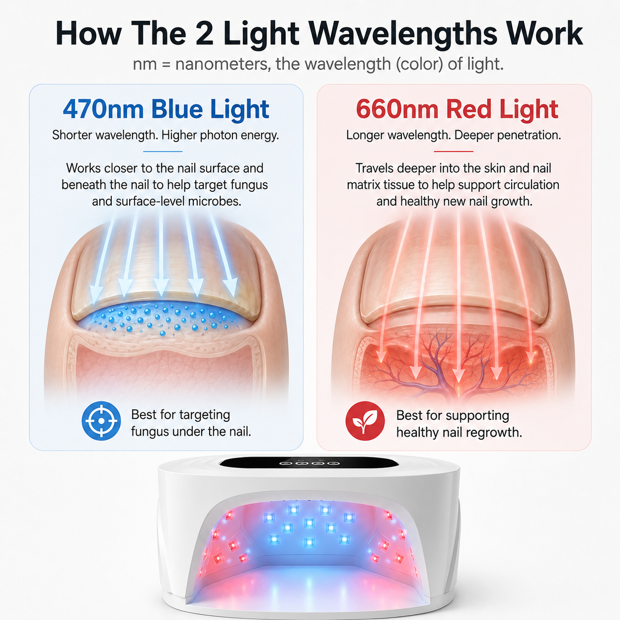 NailRenew — Eliminates Toe Fungus & Restores Healthy Nails
